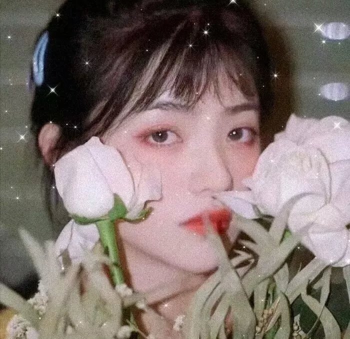 女巡特警蜂鸟突击队